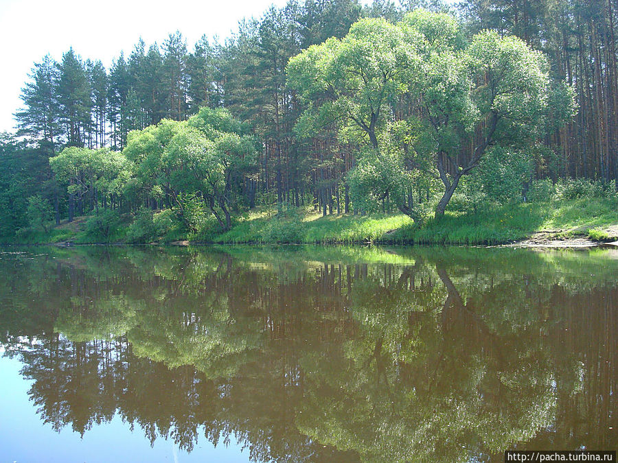 Беларусь фрагменты и зарисовки матушки природы Борисов, Беларусь Беларусь фрагменты и зарисовки матушки природы Борисов, Беларусь