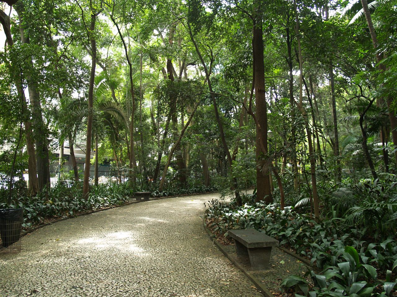 Самый натуральный из парков Сан-Паулу