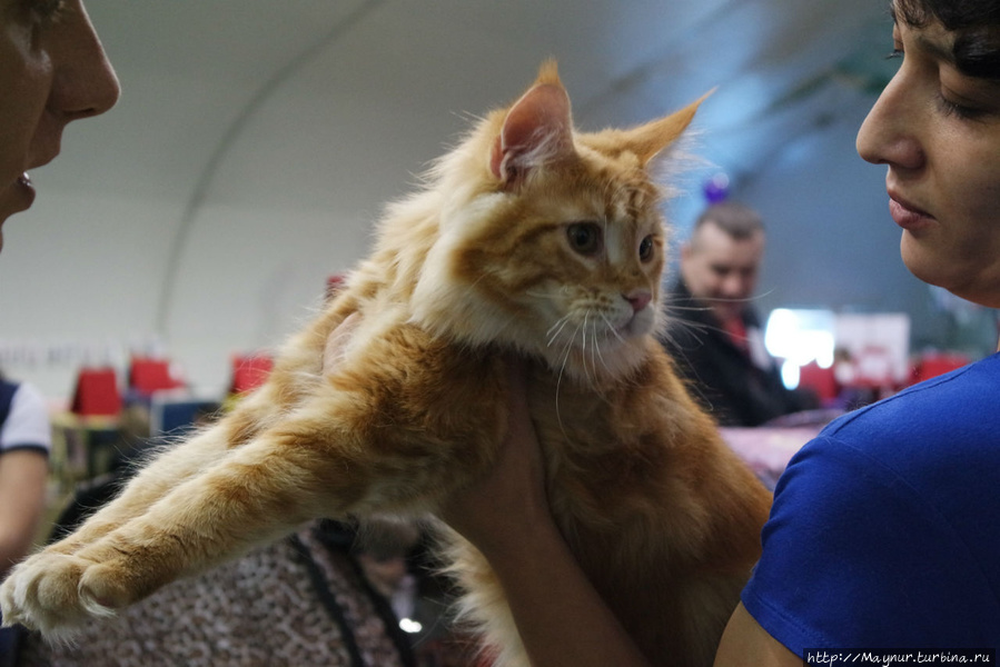 Самые любимые... Южно-Сахалинск, Россия Самые любимые... Южно-Сахалинск, Россия