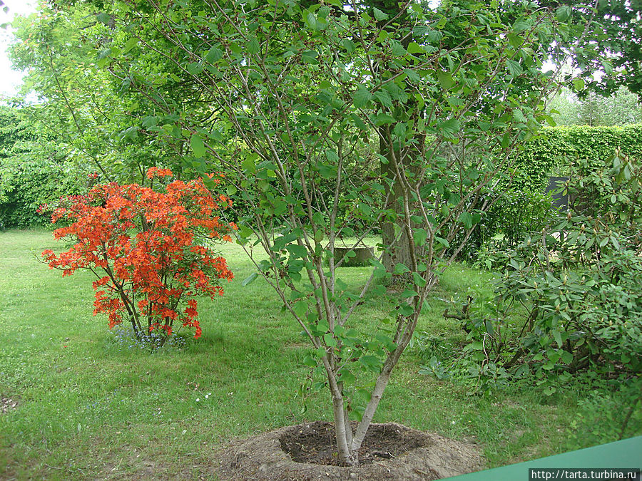 Покой под охраной Покой под охраной