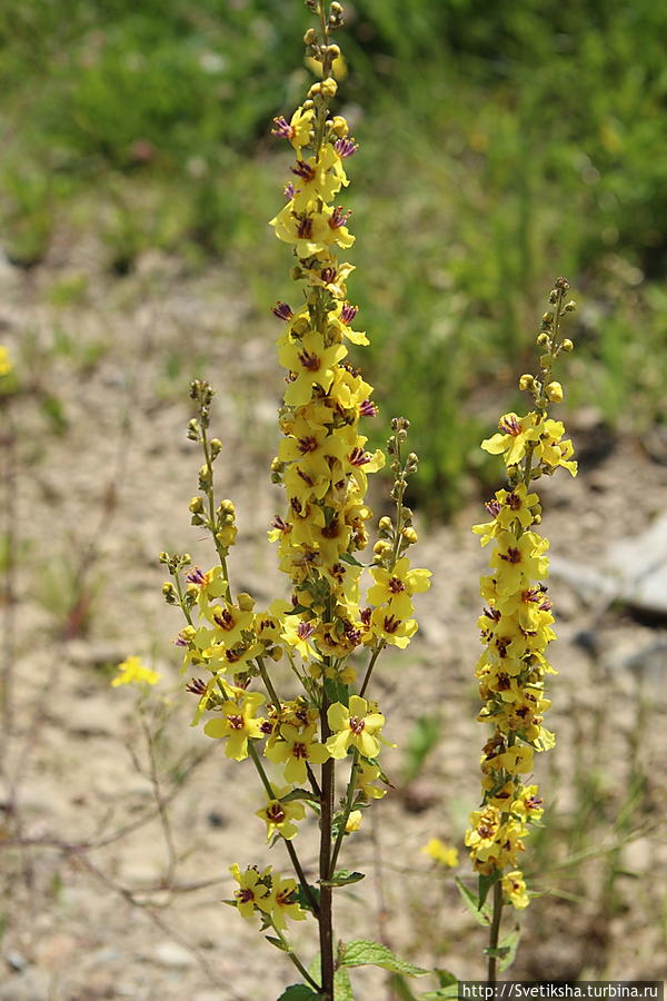 Озеро Цалка Цалка, Грузия Озеро Цалка Цалка, Грузия
