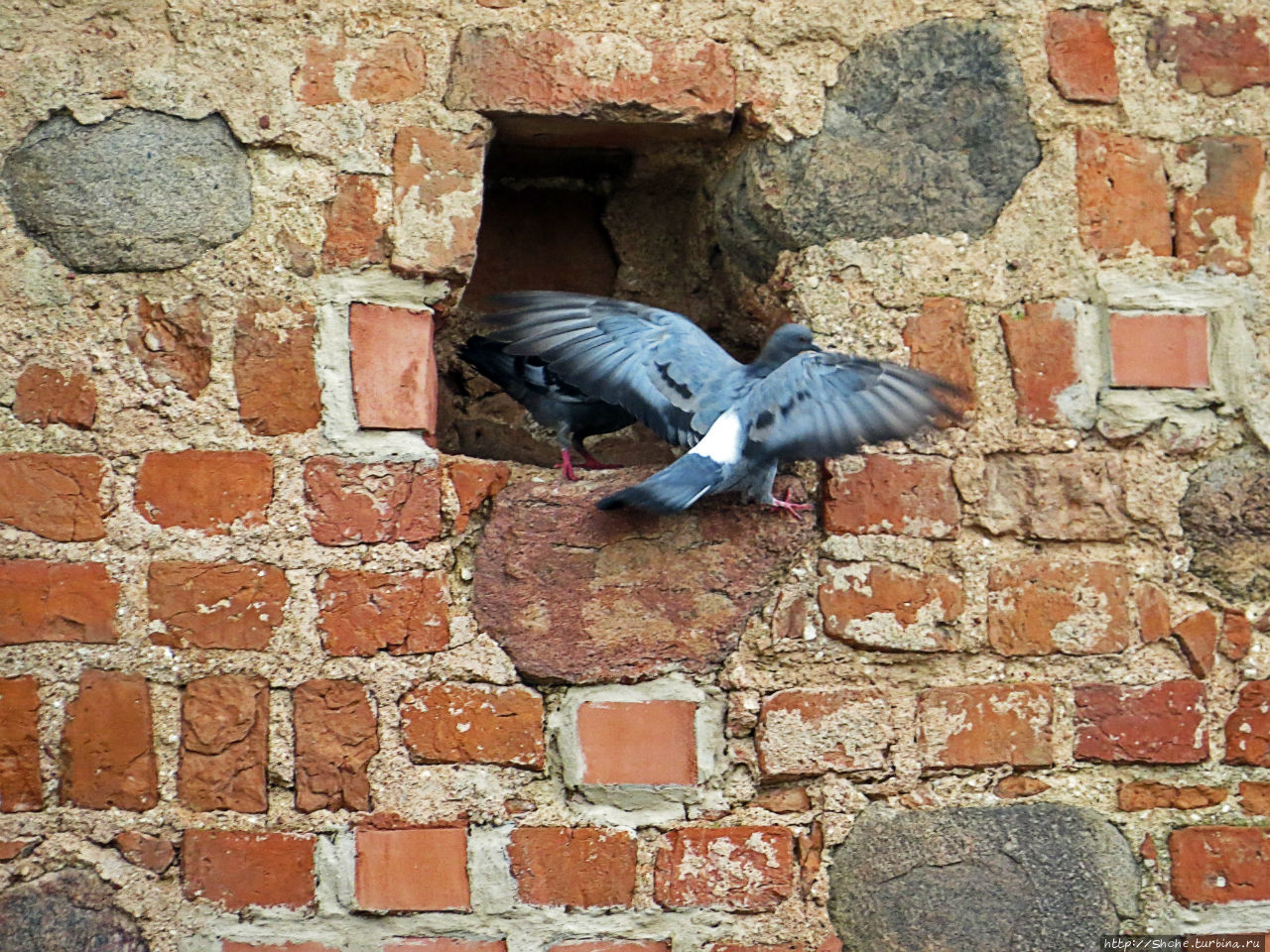 Замковый комплекс Мир Мир, Беларусь Замковый комплекс Мир Мир, Беларусь