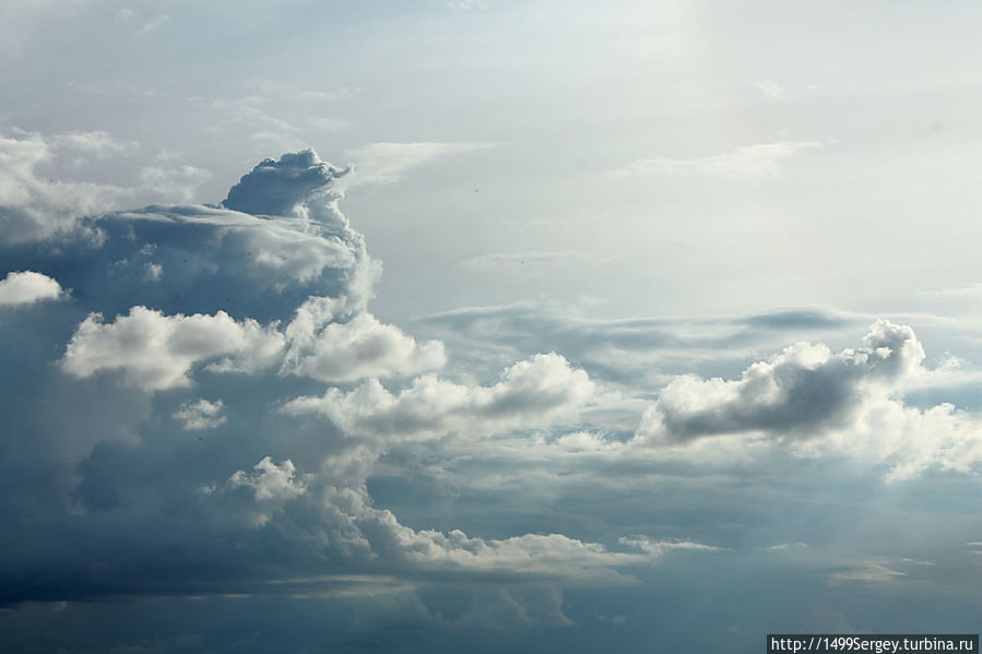 Синяя птица счастья Синяя птица счастья