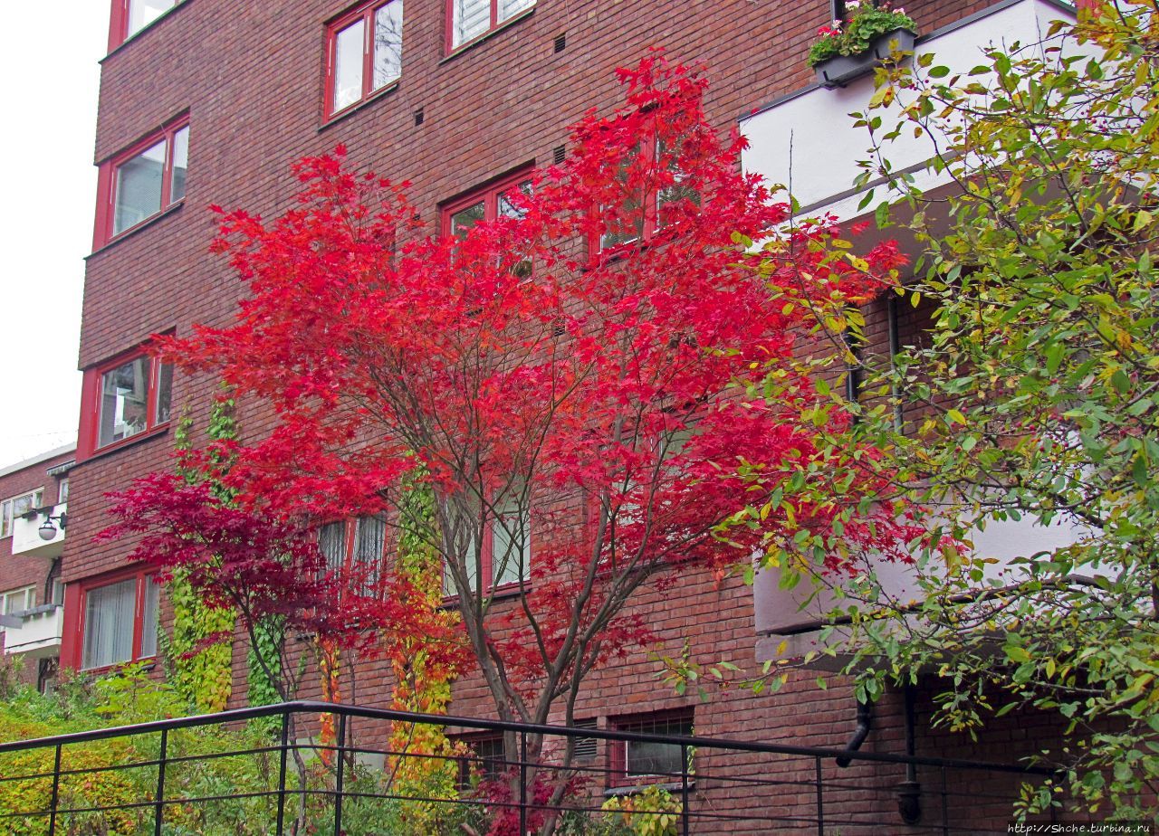 район Фрогнер Осло, Норвегия район Фрогнер Осло, Норвегия