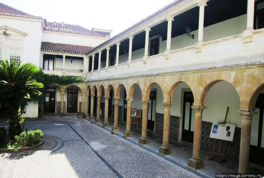Факультет фармацевтики Коимбра, Португалия