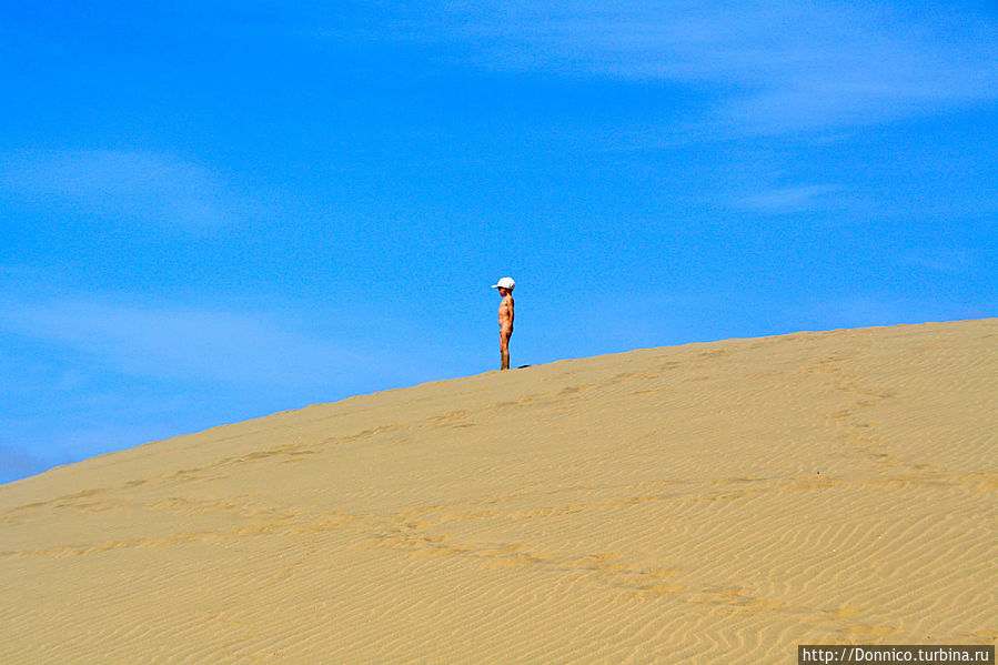 на дюне встречаются и дети — рожденные нудисты. У меня на этот счет даже есть теория — человек рождается без всего и умирает без всего поэтому подавляющее большинство нудистов либо в очень юном либо наоборот в пожилом возрасте. Счастливы те, кто свободен от предубеждений в среднем возрасте... на дюне встречаются и дети — рожденные нудисты. У меня на этот счет даже есть теория — человек рождается без всего и умирает без всего поэтому подавляющее большинство нудистов либо в очень юном либо наоборот в пожилом возрасте. Счастливы те, кто свободен от предубеждений в среднем возрасте...
