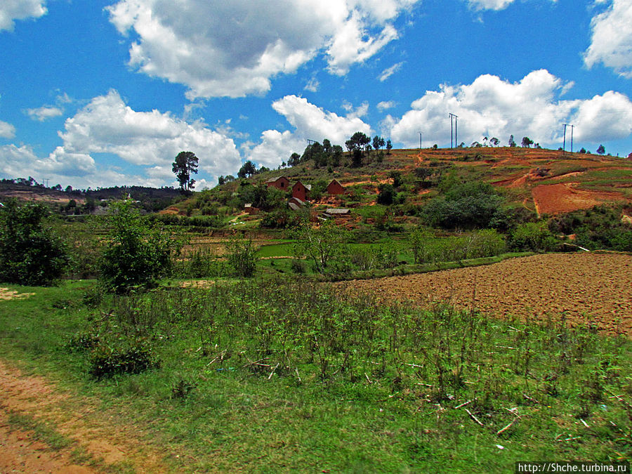 Мадагаскарские картинки. Окрестности Анцирабе Провинция Антананариву, Мадагаскар