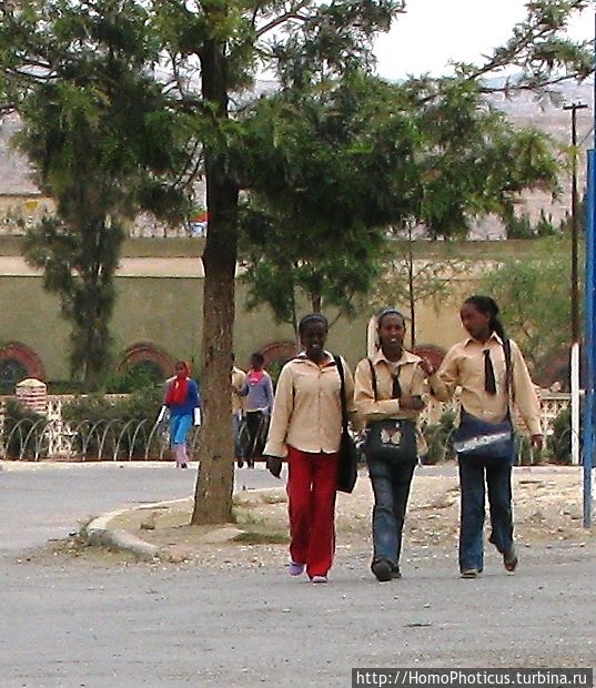 Эритрейцы Эритрея Эритрейцы Эритрея