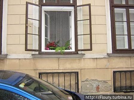 Пештские окна Пештские окна