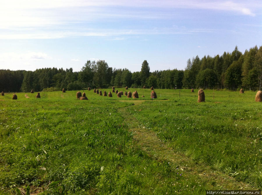 Агротерапия по-фински. День первый. Продолжение Пункахарью, Финляндия