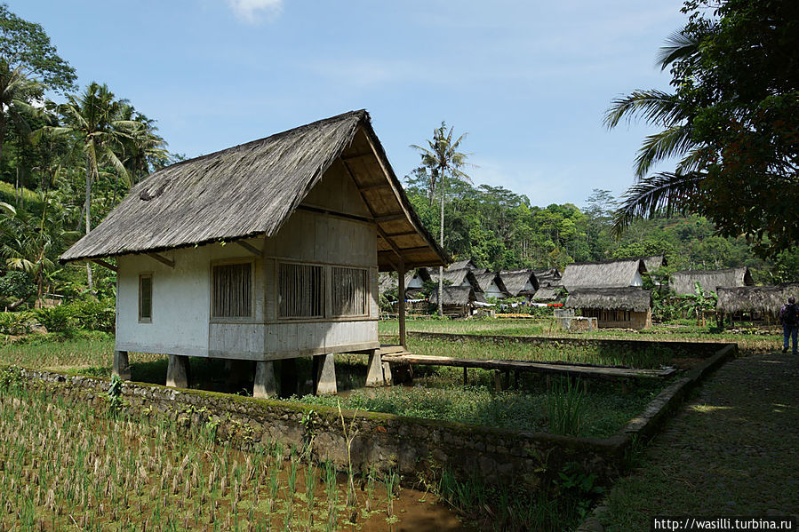 Дом на сваях. Ява, Индонезия