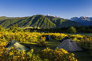 Наш палаточный лагерь в цветочках:)