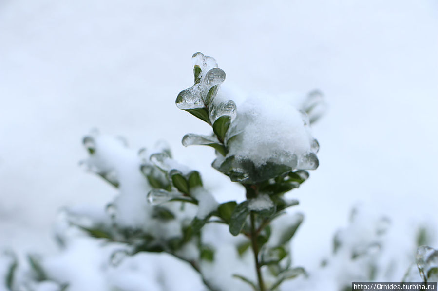 Как на тоненький ледок выпал беленький снежок Харьков, Украина