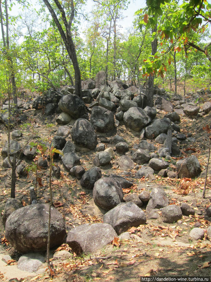 Каменный лес Пай, Таиланд