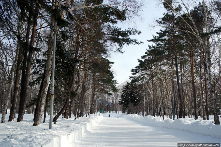 Зимние зарисовки Южно-Сахалинск, Россия Зимние зарисовки Южно-Сахалинск, Россия