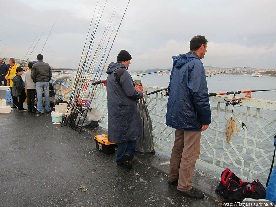 Рыбаки на Галатском мосту Стамбул, Турция