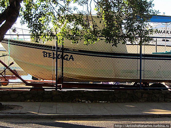 Яхта Белуга. Мапуту, Мозамбик Яхта Белуга. Мапуту, Мозамбик