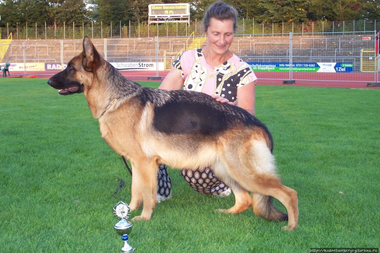 Снова Ульм, снова Зигер! Ульм, Германия Снова Ульм, снова Зигер! Ульм, Германия