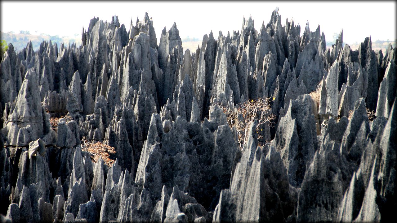 Обнаженная история Земли — Цинги де Бемараха Цинги-де-Бемараха Национальный Парк, Мадагаскар
