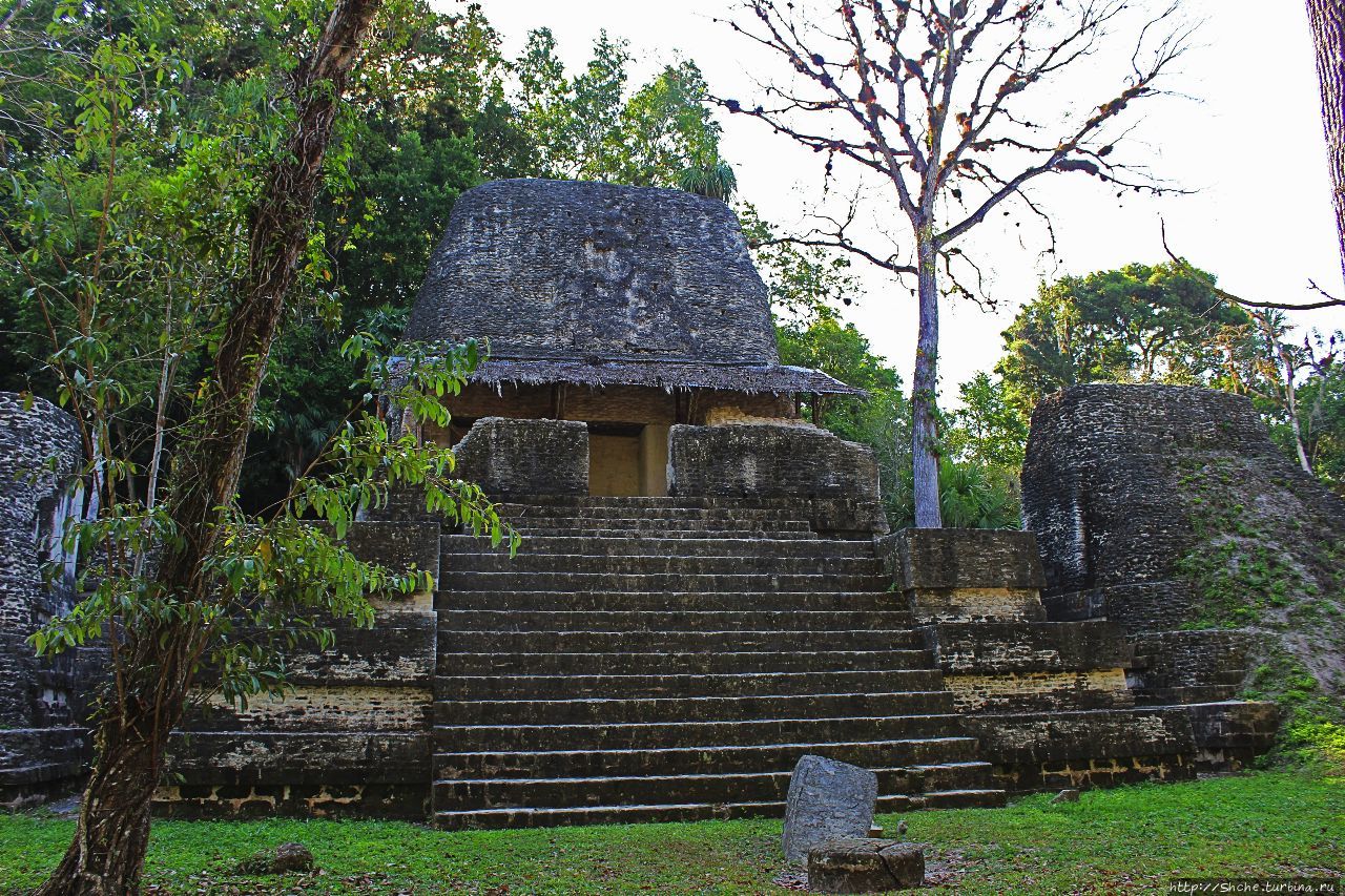 Площадь Семи Храмов Тикаль Национальный Парк, Гватемала