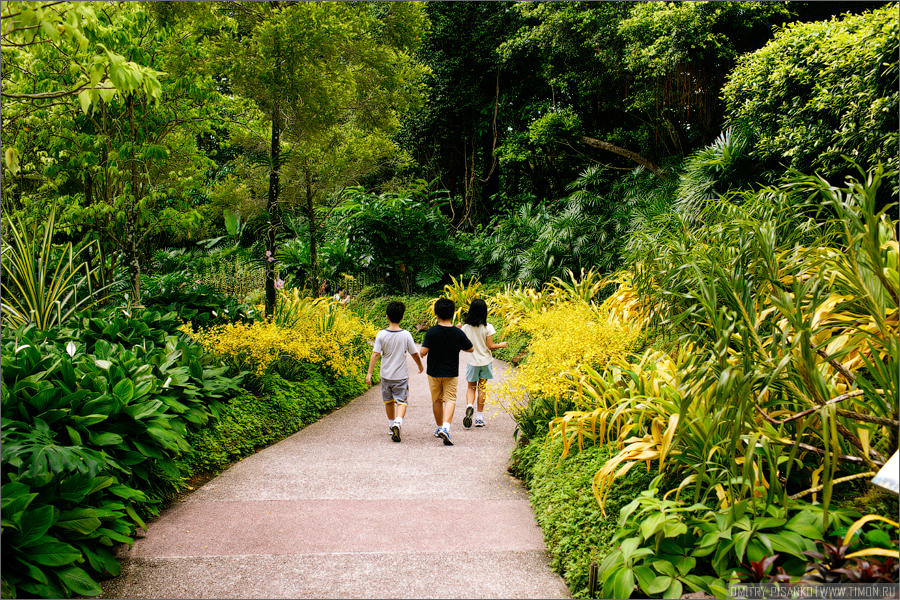 Лучшие городские джунгли Азии Сингапур (город-государство)