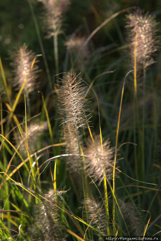 Разноцветная осень Штутгарт, Германия Разноцветная осень Штутгарт, Германия