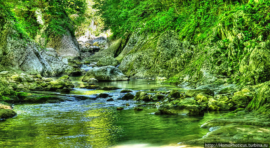 (обработка) (обработка)