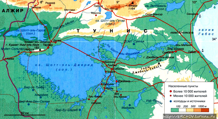 Фото из интернета. Фото из интернета.