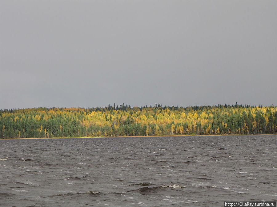 Отдохновение для души, а для глаз — радость... Интерпосёлок, Россия Отдохновение для души, а для глаз — радость... Интерпосёлок, Россия