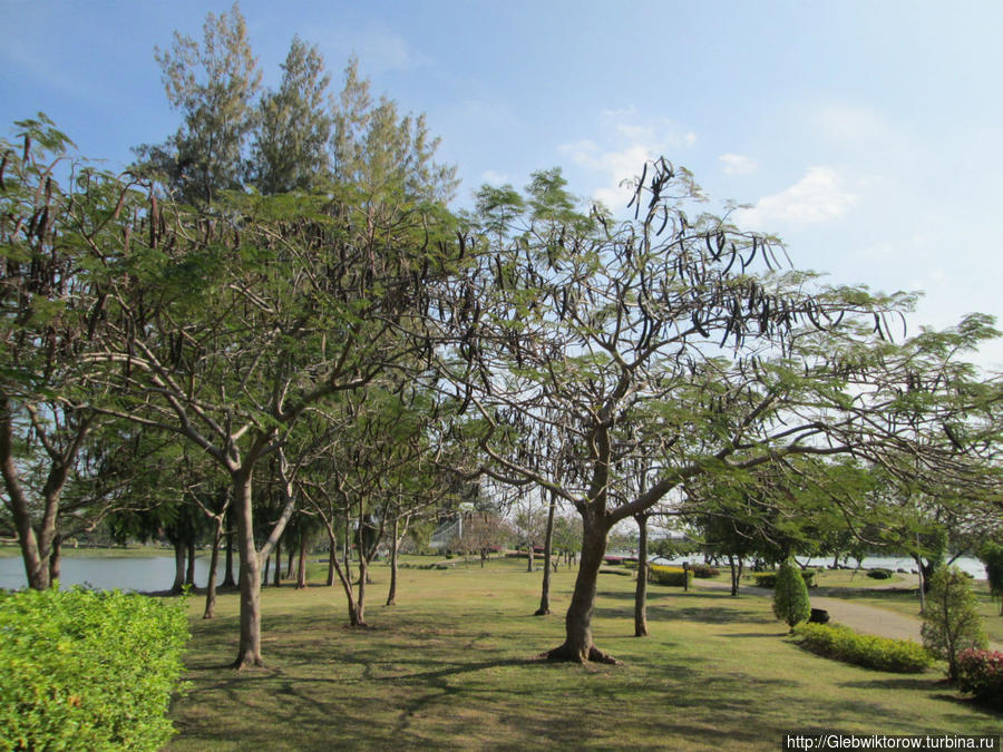 Nong Prachak Public Park Удон-Тани, Таиланд