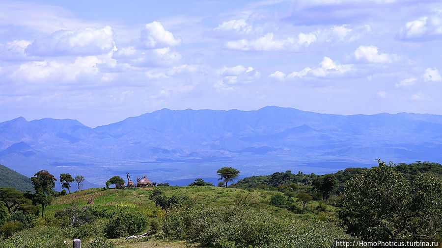 Маго почти без мурси Национальный парк Маго, Эфиопия