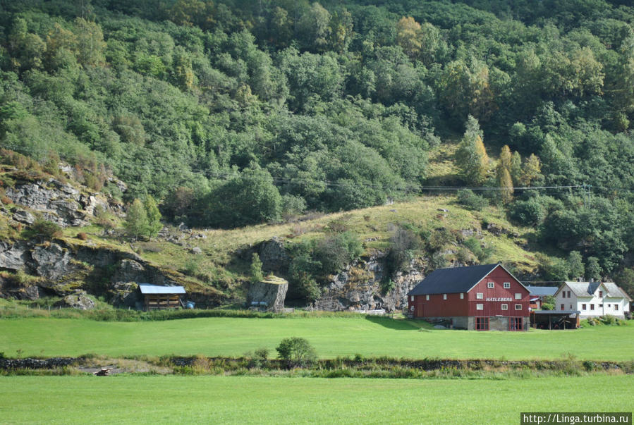 Увидеть Боргундскую ставкирку Флом, Норвегия