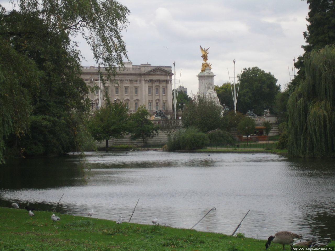 Озеро Сент-Джеймсского парка в Лондоне. Вид на Букингемский Дворец и памятник Королеве Виктории Лондон, Великобритания