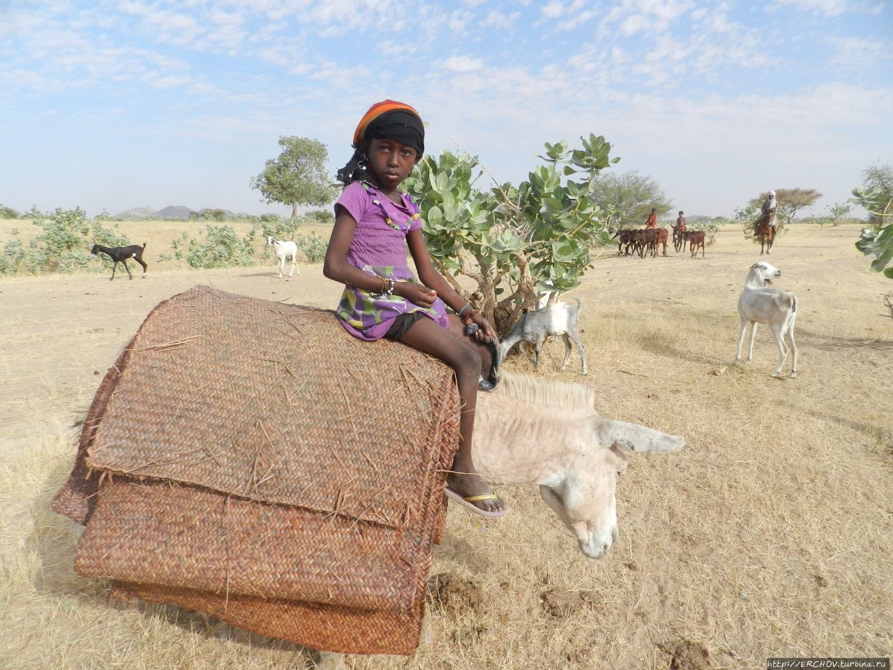 Мы вернулись из Чада Чад Мы вернулись из Чада Чад