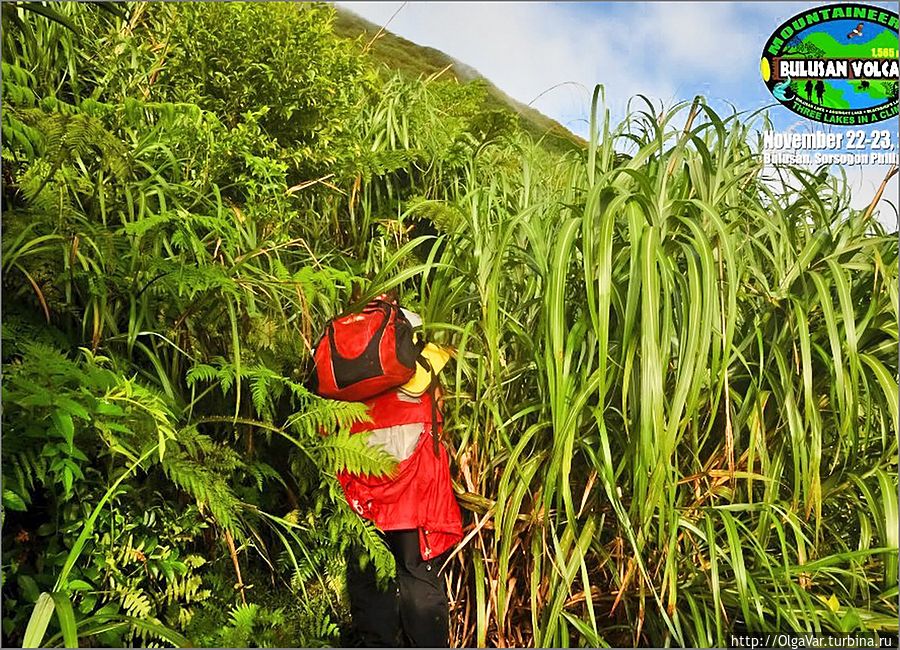 …Неожиданно лес закончился и сменился густой, склонившейся к земле травой, да так низко, что местами приходилось проползать под нею. Склон резко взмыл вверх, а конца, казалось, всё не видать …Неожиданно лес закончился и сменился густой, склонившейся к земле травой, да так низко, что местами приходилось проползать под нею. Склон резко взмыл вверх, а конца, казалось, всё не видать