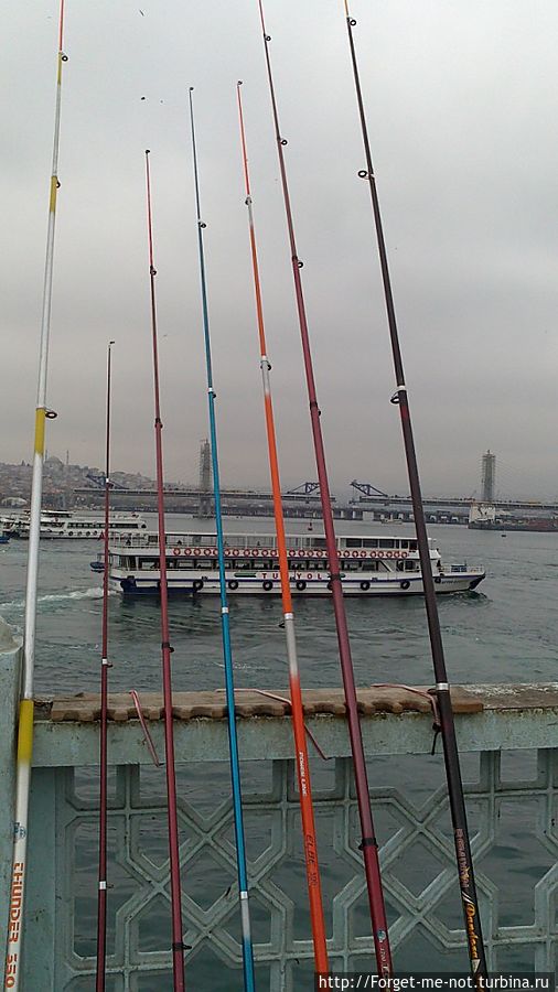 Галатский мост. Много рыбы)) Стамбул, Турция