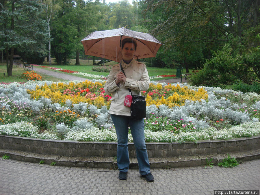 Парк, омытый дождем Мишкольц, Венгрия