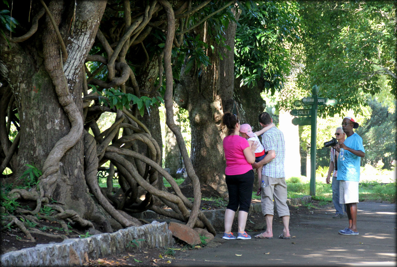 Ботанический сад Памплемус / Pamplemousses Botanical Garden