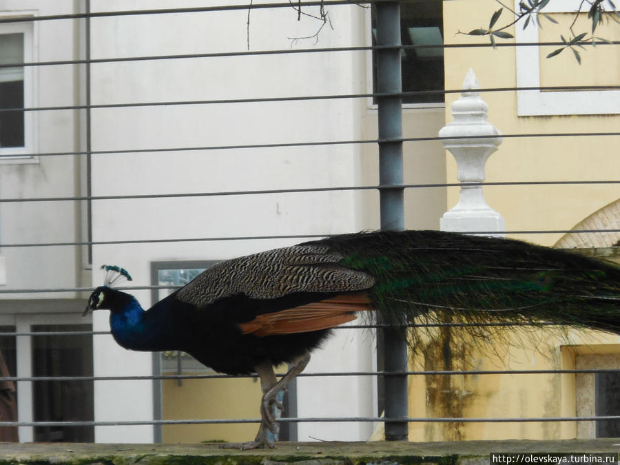 Встреча в Лижбоа Лиссабон, Португалия Встреча в Лижбоа Лиссабон, Португалия