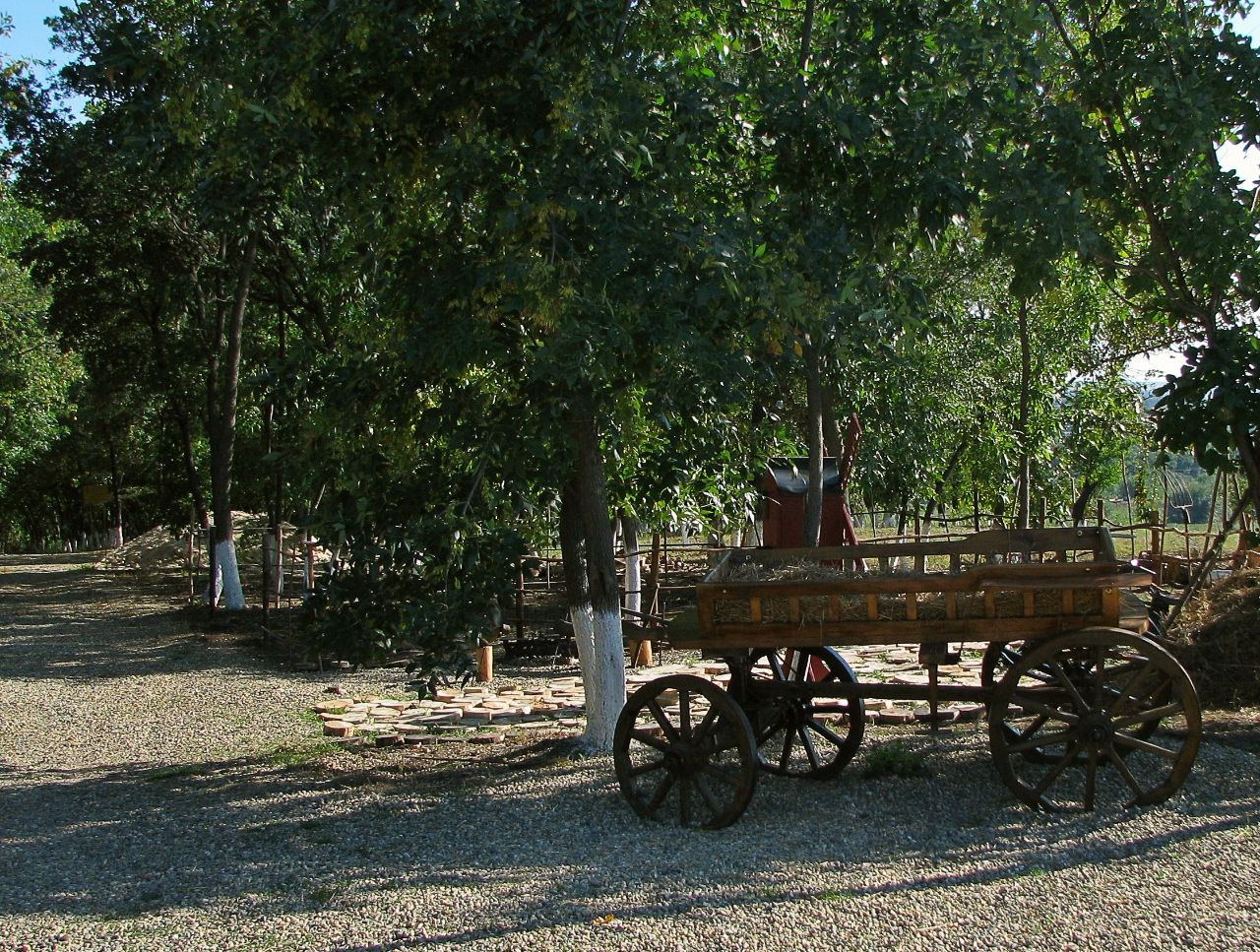 Поле казачьей славы Кущевская, Россия