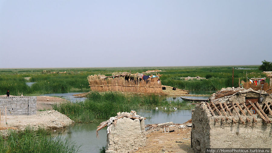 Возле Басры Провинция Басра, Ирак