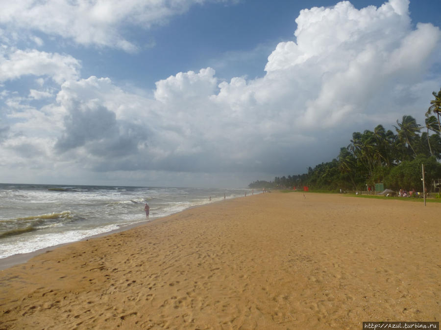 Пляж и Лаккадивское море — всегда красный флаг. Но мы купались, точнее прыгали в волнах. Калутара, Шри-Ланка