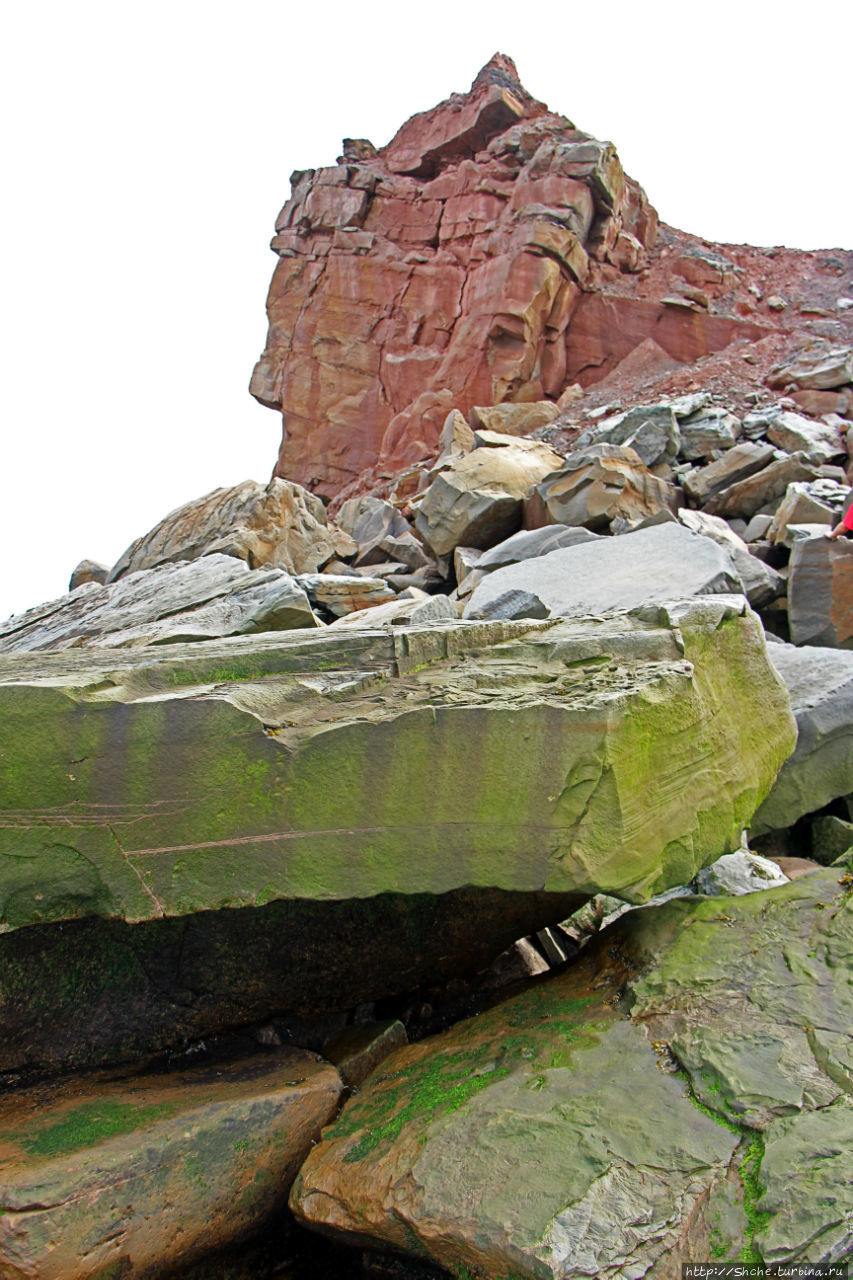 Скалы Джоггинс — прогулка в поисках ископаемых реликтов Джоггинс, Канада