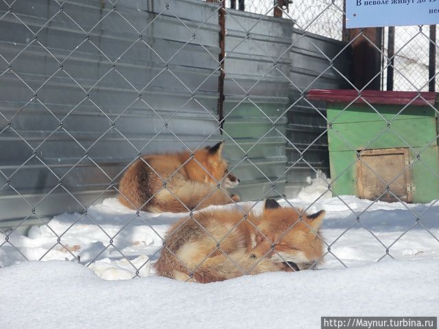 Парк им. Ю. А. Гагарина Южно-Сахалинск, Россия Парк им. Ю. А. Гагарина Южно-Сахалинск, Россия