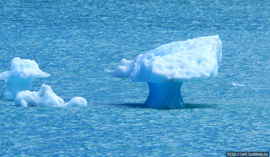 но встречаются очень причудливые, вот, например, льдина — гриб но встречаются очень причудливые, вот, например, льдина — гриб