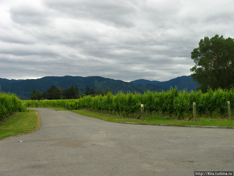 Marlborough Marlborough