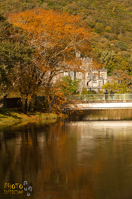 Аббатство Кайлмор Аббатство Кайлмор