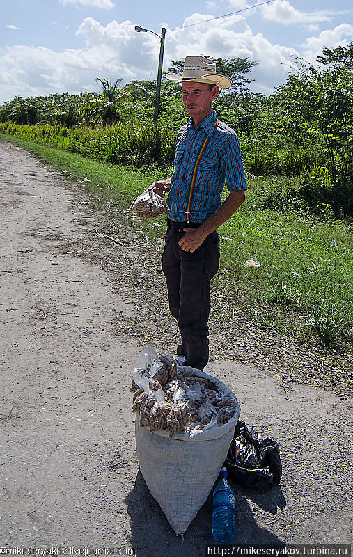 Как я выбирался из белизского плена... Корозал, Белиз Как я выбирался из белизского плена... Корозал, Белиз