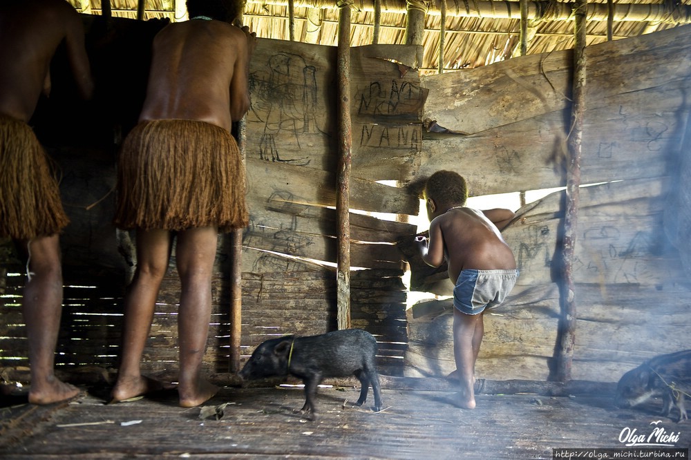 Про Шангри-Ла, Новую Гвинею и смысл жизни. Заключительная. Папуа, Индонезия