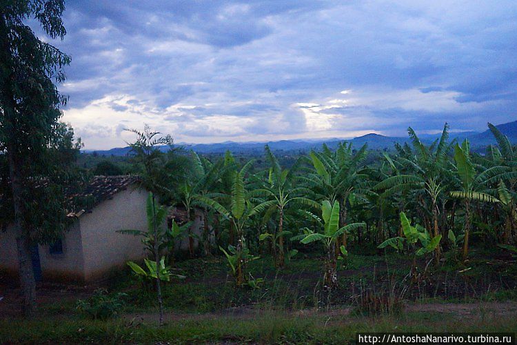 На зеленых холмах страны Ру Руанда